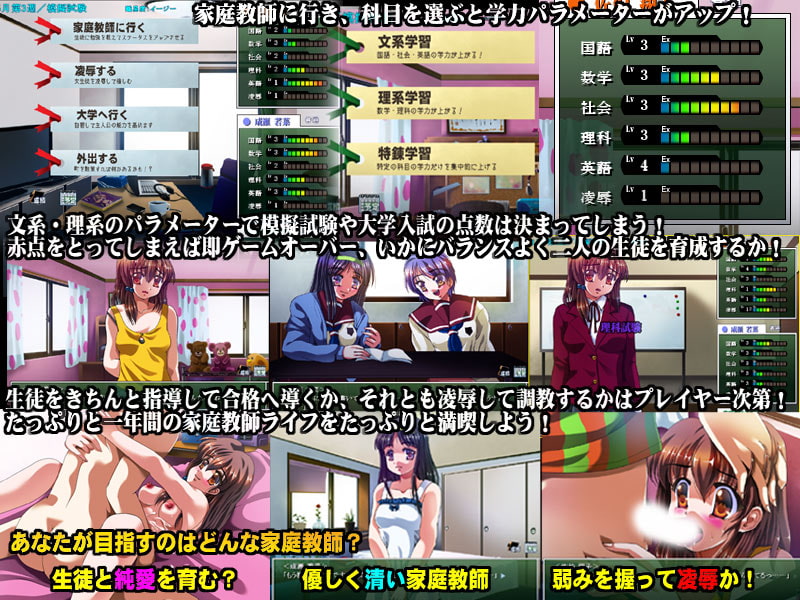 真・凌辱家庭教師 ～処女調教レイプ～