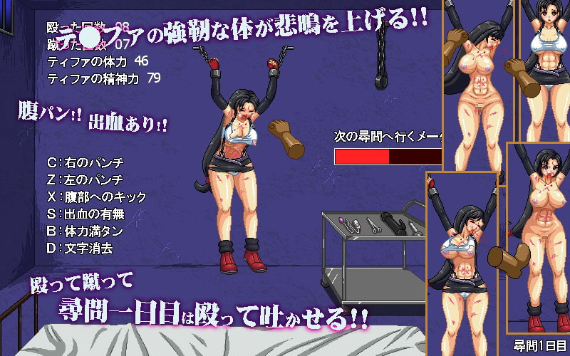 エッチドット工房(職人魂4) お仕置きティファ