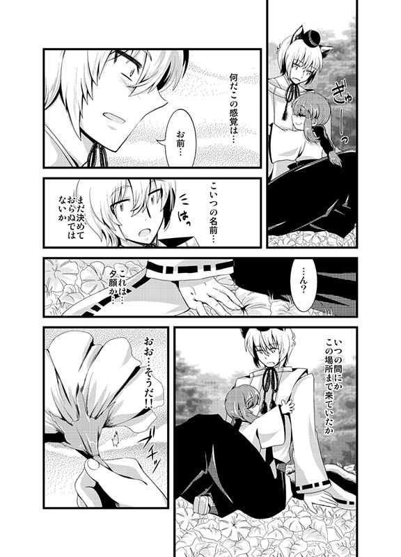 夕顔の花。その蕾