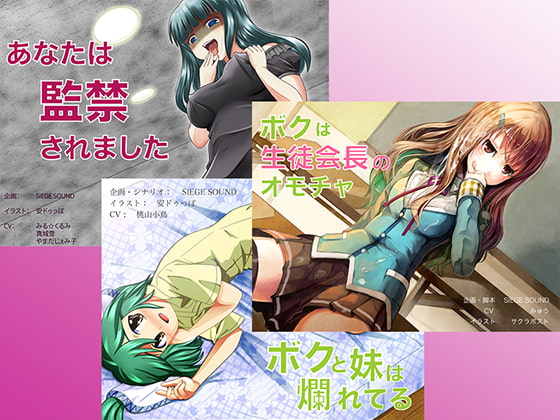 えっちボイスお得ぱっく