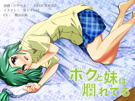 えっちボイスお得ぱっく