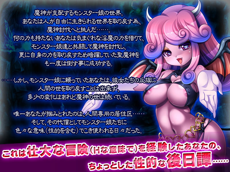 犯され勇者IV～ANOTHER STORY～