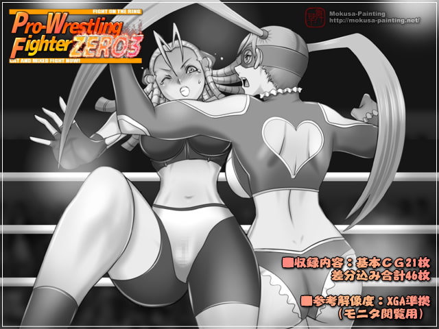 Pro-Wrestling Fighter ZERO3