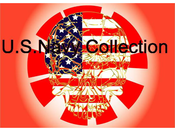 海軍これくしょん(USA)