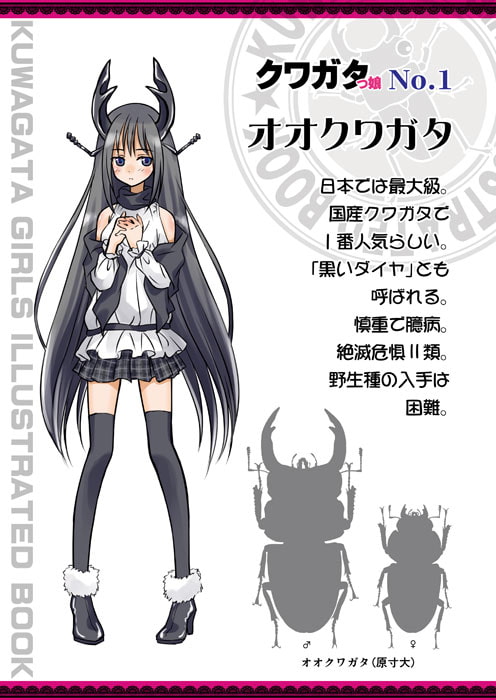 クワガタっ娘図鑑