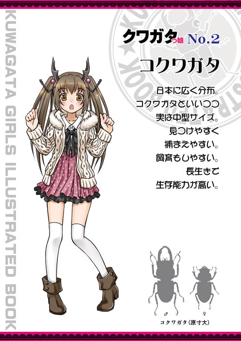 クワガタっ娘図鑑