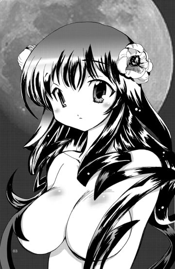 風の砦アベル第7巻 女魔剣士と人に似た神
