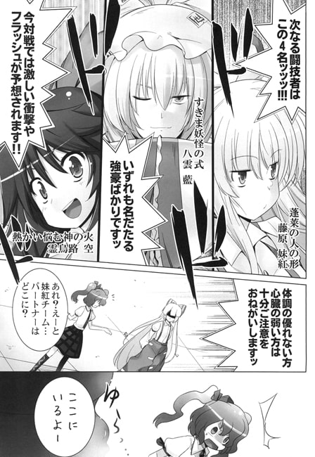 幻想郷統一タッグトーナメント総集編 Vol.5～8