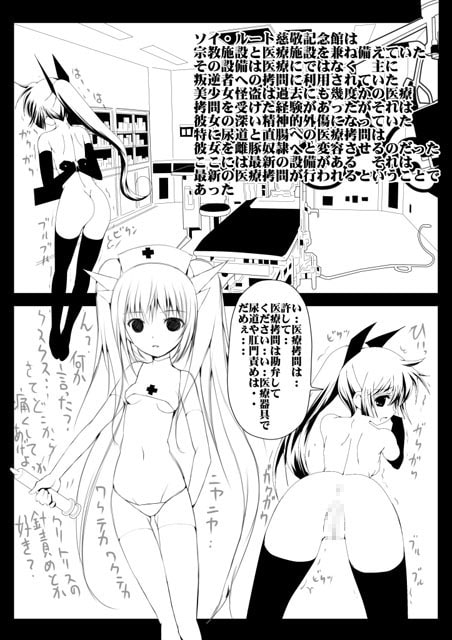 美少女怪盗拷問調教 煉獄編