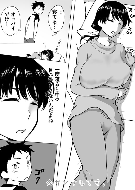 友達の巨乳ママが寝てたので挿れてみた。