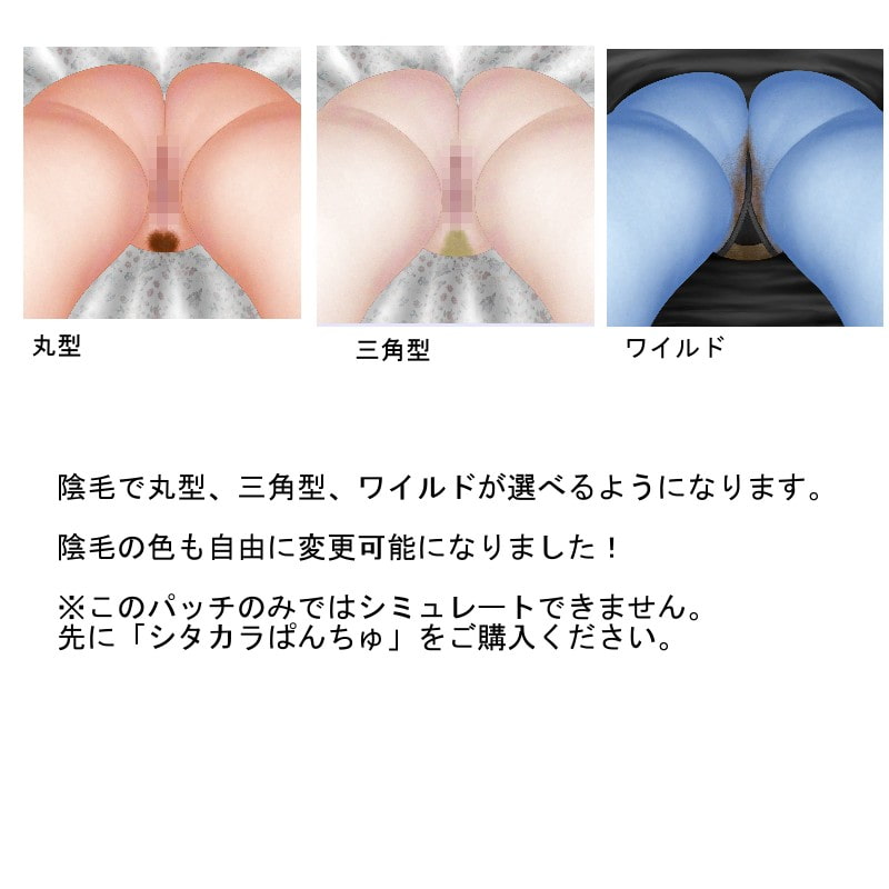 SP05陰毛追加パッチ