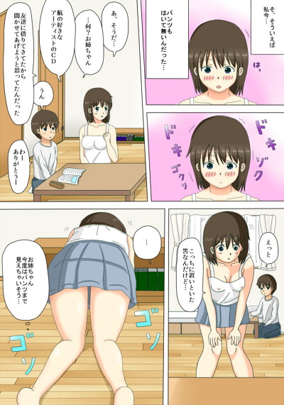 お姉ちゃんの露出体験記