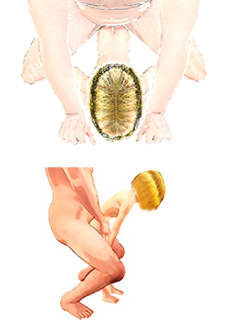 positions of love vol.1