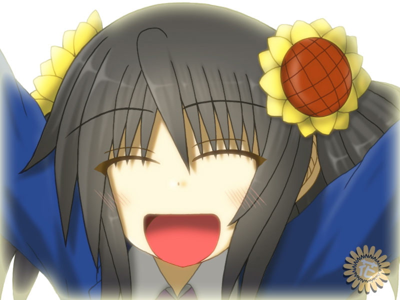 天照花嫁日記・終