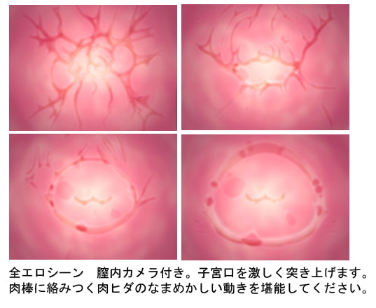 プリティ・プリドット本編中編-本番レイプ!-