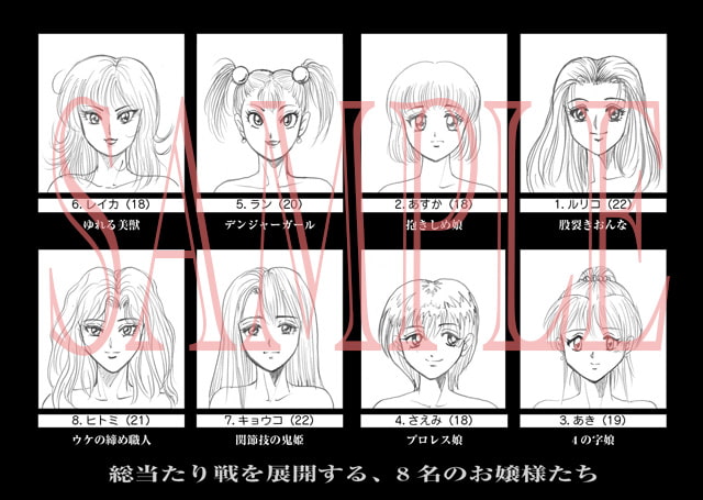 萌えレス13 秘闘伝原画集
