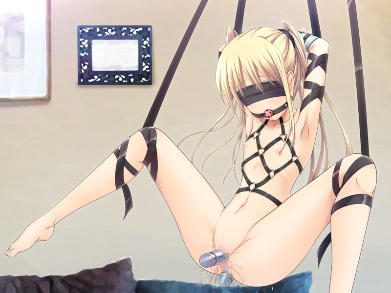 『仮想家族』+『水泳少女=痴漢少女』BOX