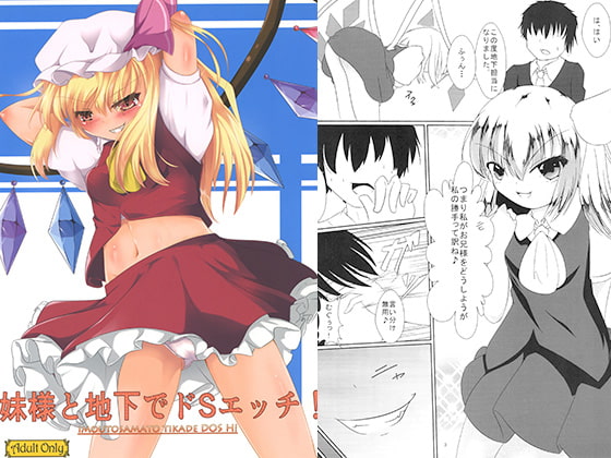 妹様と地下でドSエッチ!