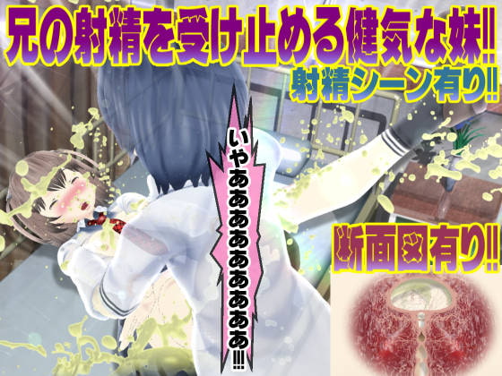 妹なら骨折した兄の性欲処理をする責任がある?～妹御奉仕編♪～