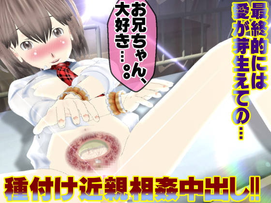 妹なら骨折した兄の性欲処理をする責任がある?～ラブラブ妹純愛篇♪～