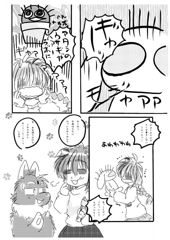 変態主と笑わない守護騎士