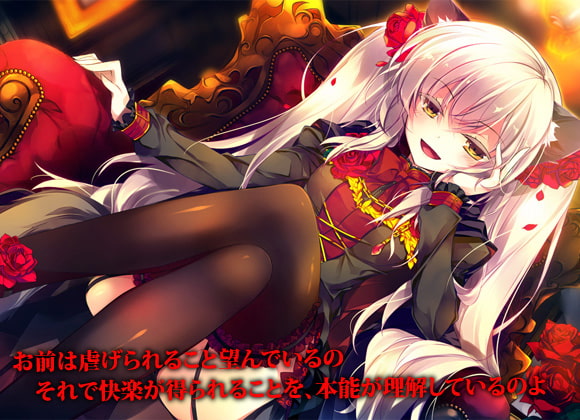 キトゥンフィリア