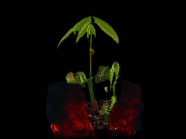 クトゥルフ神話TRPGリプレイ 幻楽三重葬