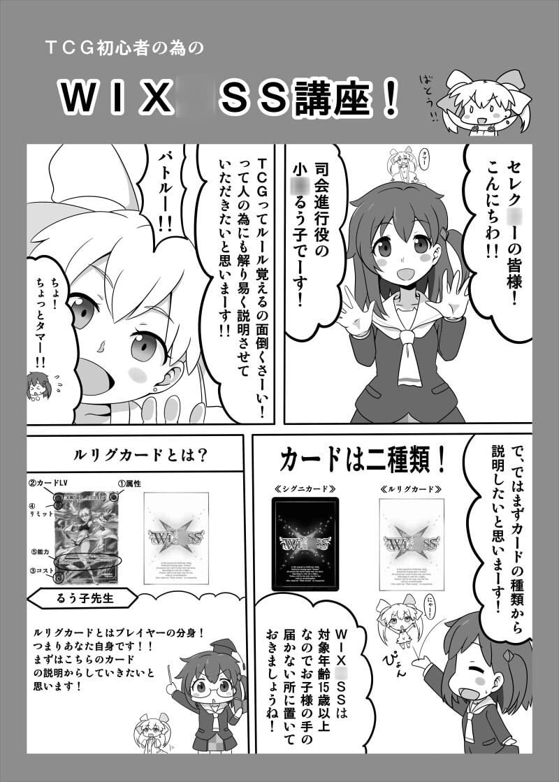 select○r instructional book