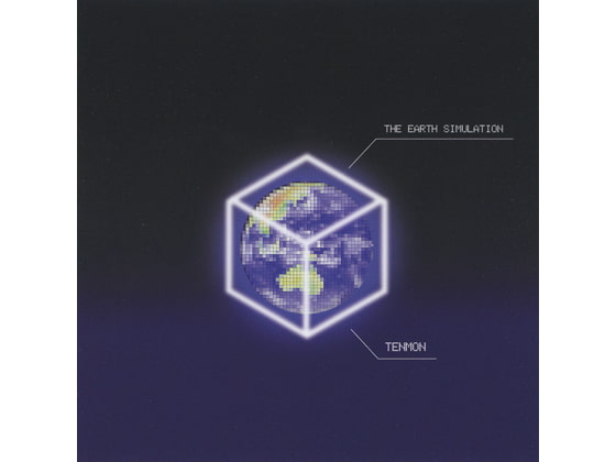 THE EARTH SIMULATION