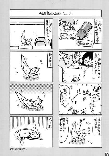 うぱ子はじめました