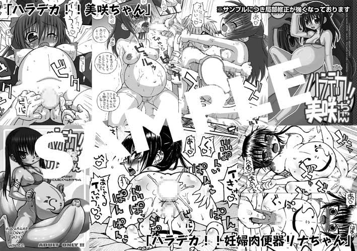 ハラデカ!!妊婦まとめ本