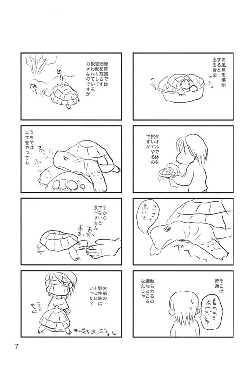 日常72bit.カメ吉special