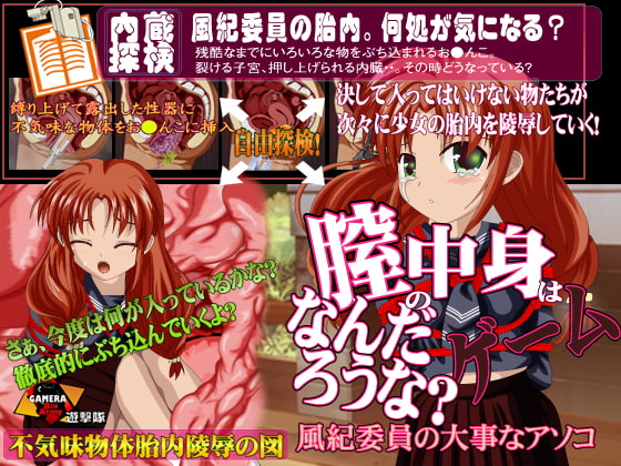 膣の中身はなんだろうなゲーム-風紀委員の大事なアソコ-