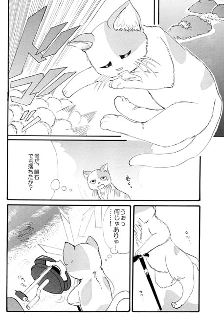 ひげ猫とラジコン