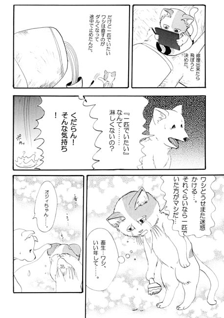 ひげ猫とラジコン