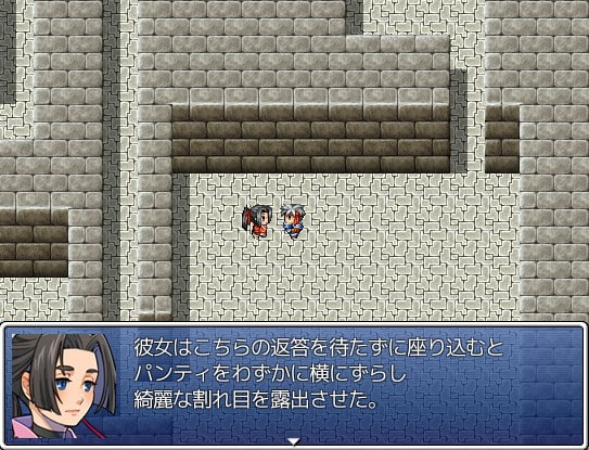 12人の女性を助けて性隷奴にするだけの物語