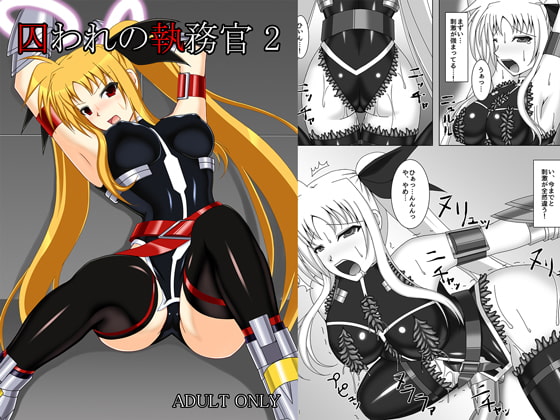 囚われの執務官 2