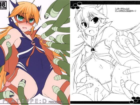 FLAT TYPE:D PRECEDING