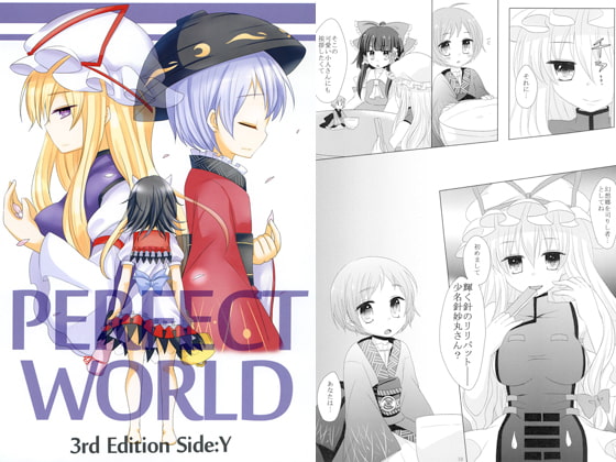 PERFECT WORLD 3rd Edition Side:Y