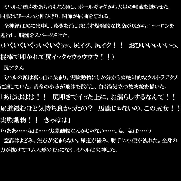 爆尻実験白書-母娘肛門連結エターナルスパイラル浣腸地獄-