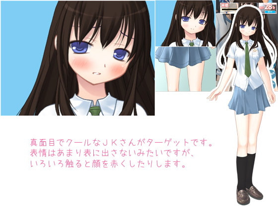 ちかんのおしごと! vol8 クールJK