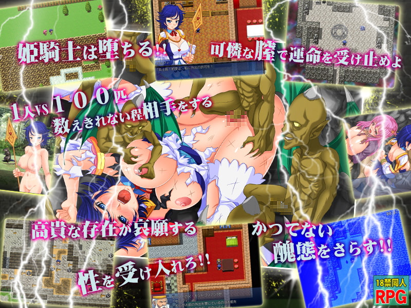 悲虐の姫騎士セルフィ～闘姫(バトルクイーン)への道～