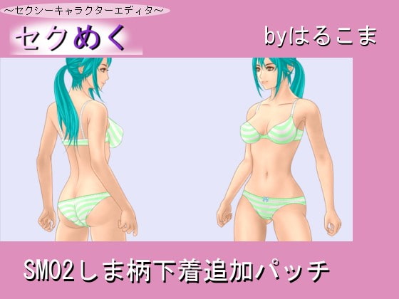 SM02しま柄下着追加パッチ