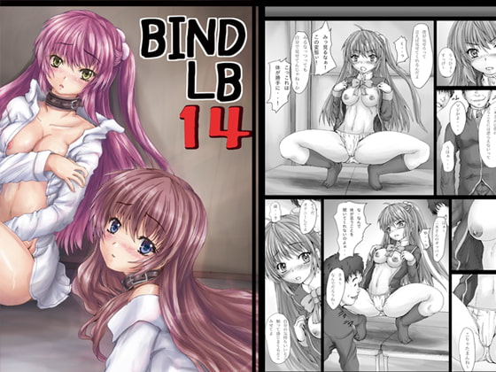 BindLB14ダウンロード版