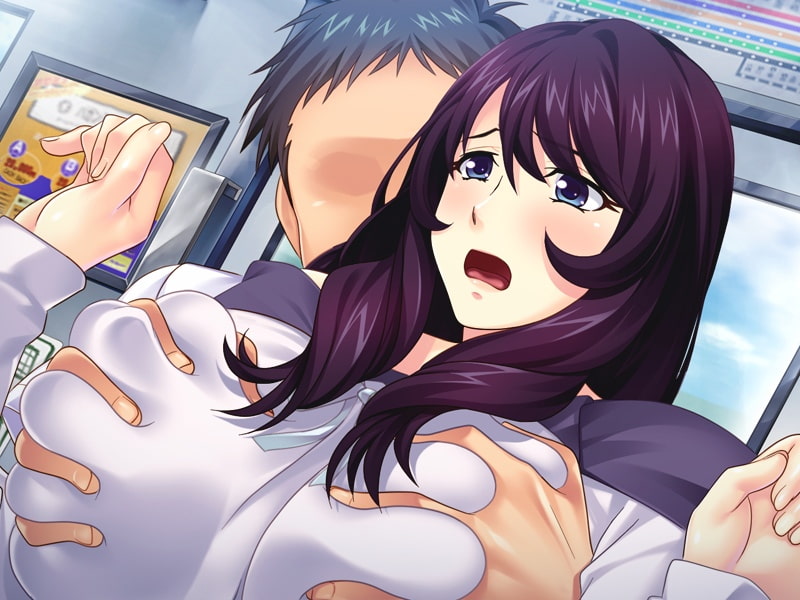 人妻公然恥辱電車～携帯一つでお触り即ハメし放題他人の妻を粘着種付け寝取り～