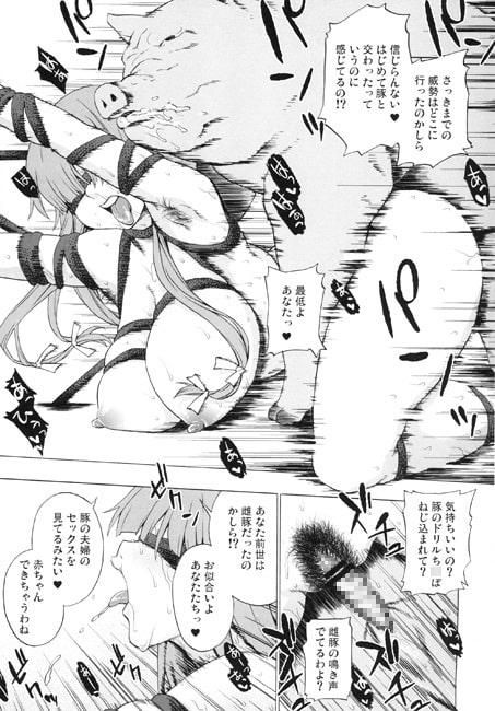 正しい豚の扱い方