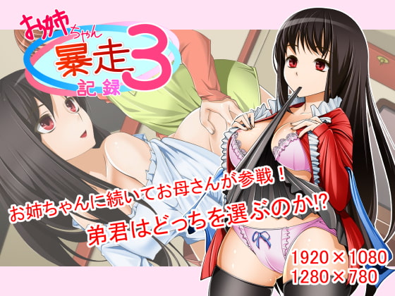 お姉ちゃん暴走記録3