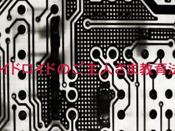 メイドロイドのご主人さま教育法。