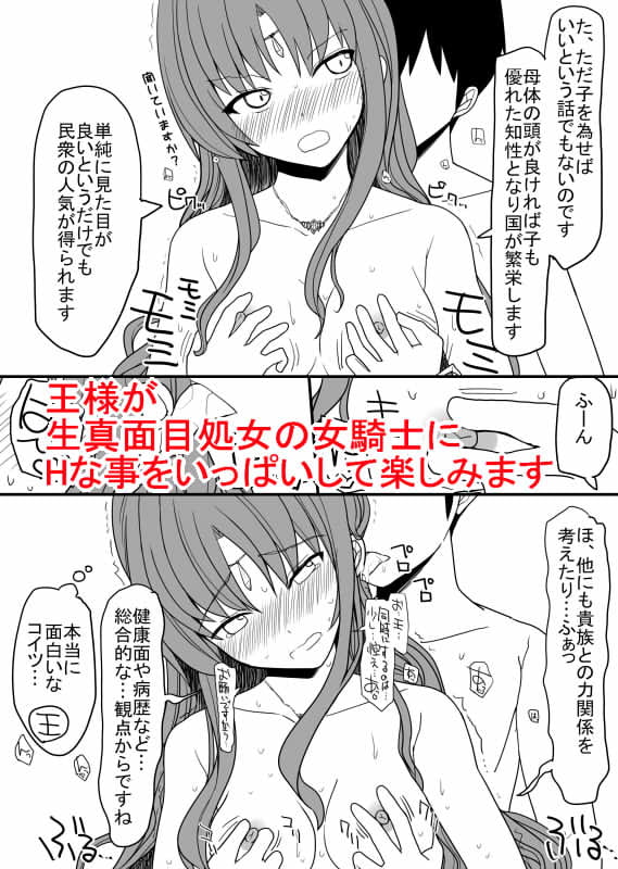 頭の固い女騎士をチ○ポの力でトロトロにする話