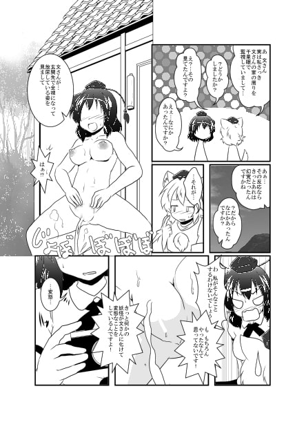 射命丸文変態化記録